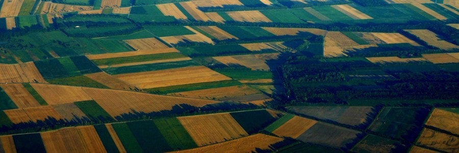 Jak kupić działkę i nie dać się oszukać…
