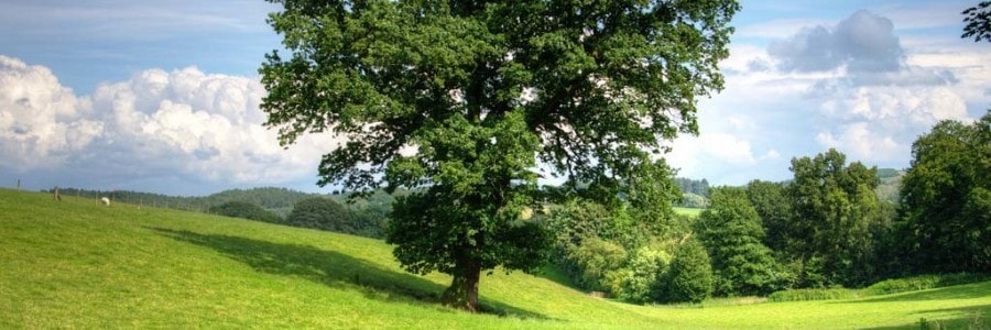 Poradnik jak uzbroić działkę – formalności, koszty, wskazówki