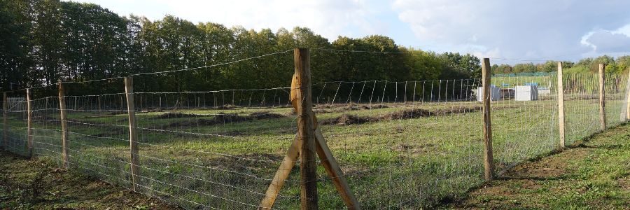Jak sprzedać działkę budowlaną?