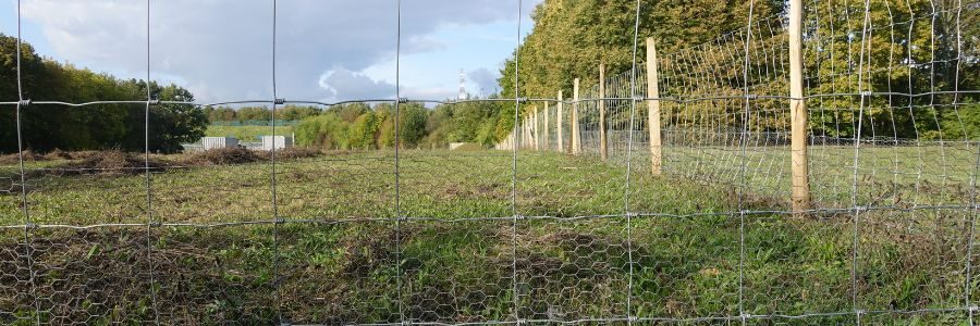 Skup działek budowlanych Kraków