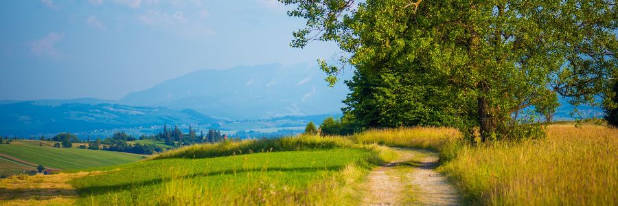 To już pewne, że Polacy wolą wieś od miasta